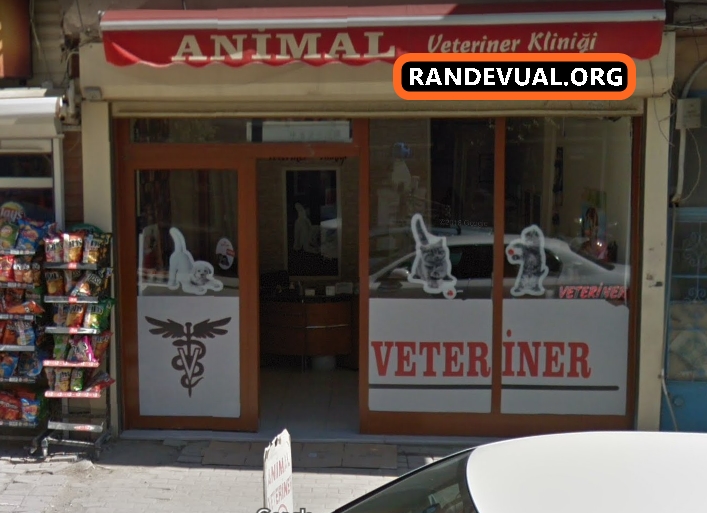 Animal Veteriner Kliniği Randevu Alma
