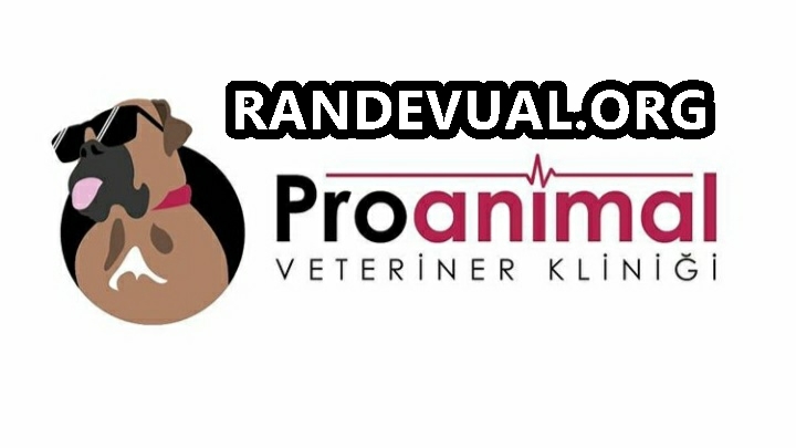 Pro Animal Veteriner Kliniği Randevu Alma