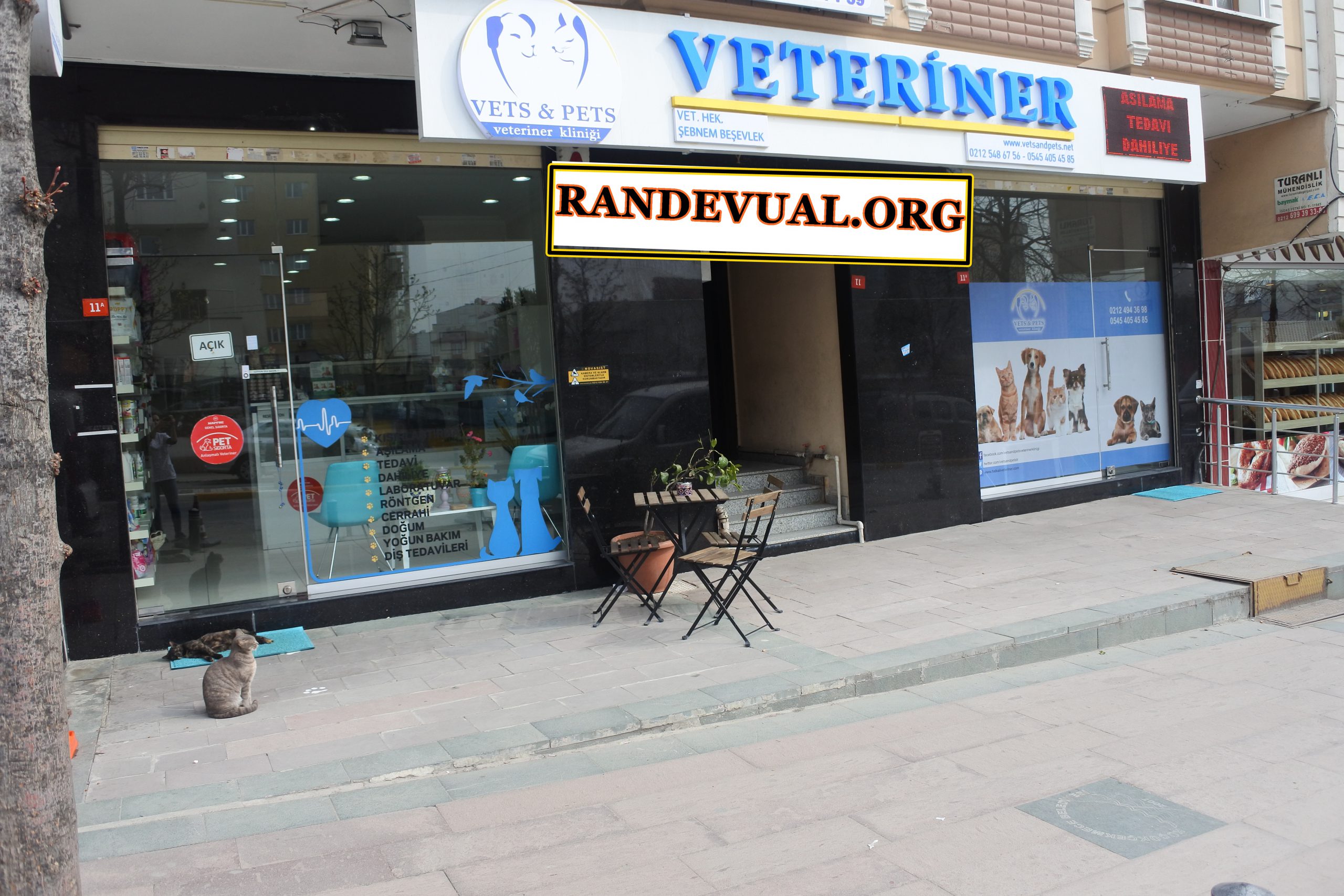 Vets&Pets Veteriner Kliniği Randevu Alma